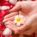 ����� ������� | �������������� | ����� ����������